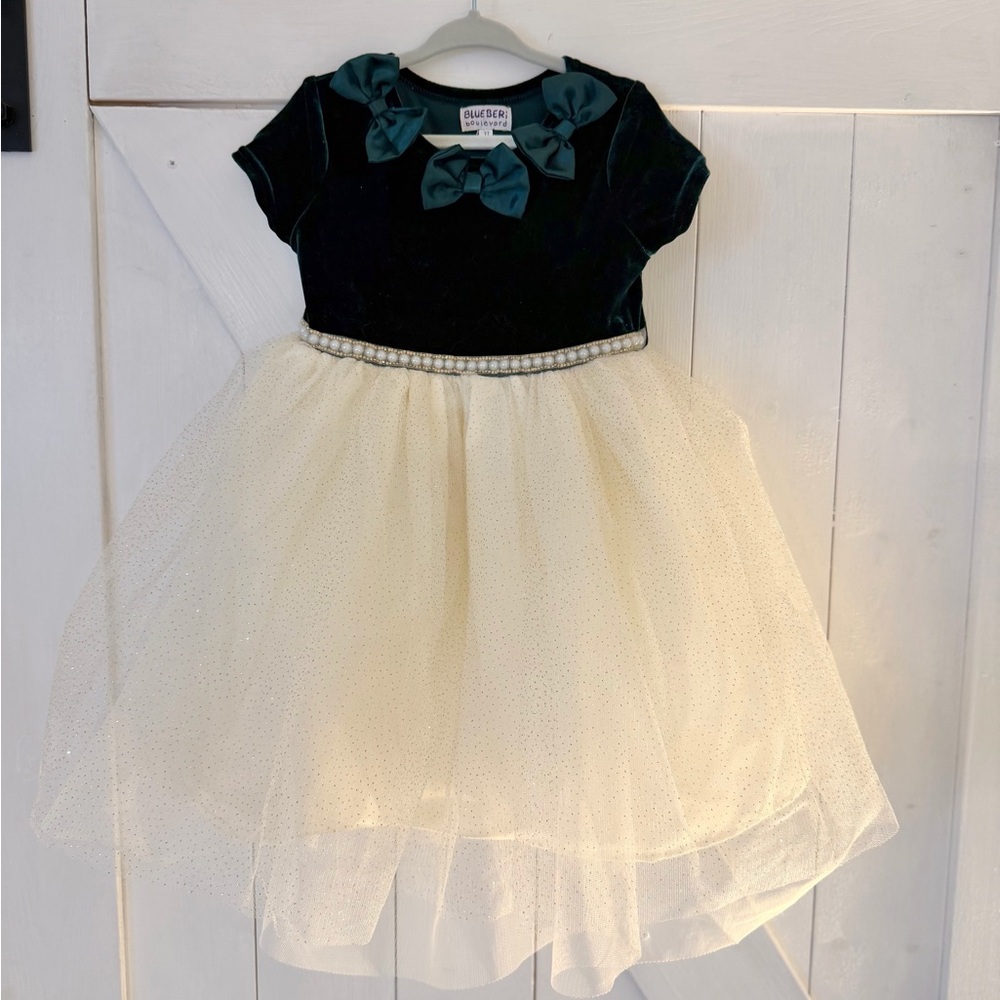 Blueberi Boulevard Toddler Velvet and Tulle Dress with Bows 3 T - Like New